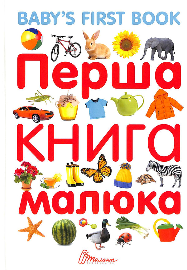 Baby's First Book